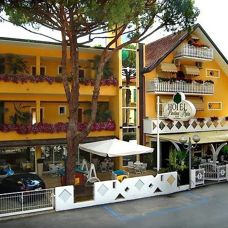 Pinetina Mare Baby Family Hotel Pinarella